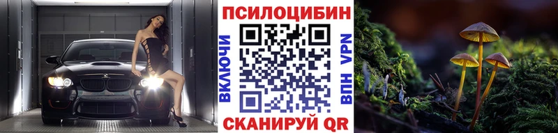 Галлюциногенные грибы Psilocybe Купить Гатчина