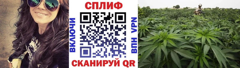 Купить где  Гатчина  Канабис Ganja 